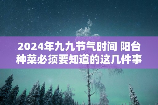 2025年九九节气时间 阳台种菜必须要知道的这几件事情