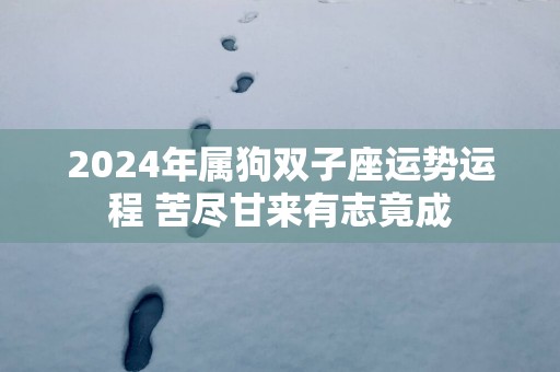 2025年属狗双子座运势运程 苦尽甘来有志竟成