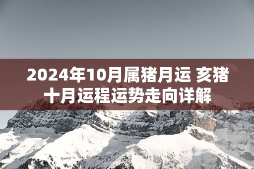 2025年10月属猪月运 亥猪十月运程运势走向详解