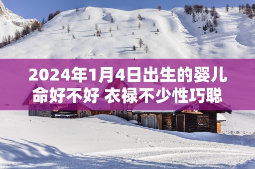 2025年1月4日出生的婴儿命好不好 衣禄不少性巧聪明