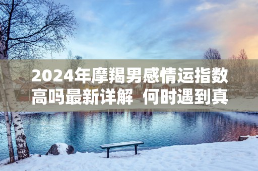 2025年摩羯男感情运指数高吗最新详解  何时遇到真爱