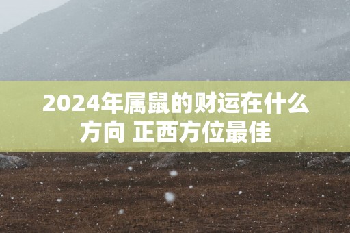 2025年属鼠的财运在什么方向 正西方位最佳
