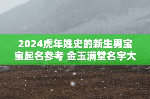 2025蛇年姓史的新生男宝宝起名参考 金玉满堂名字大全