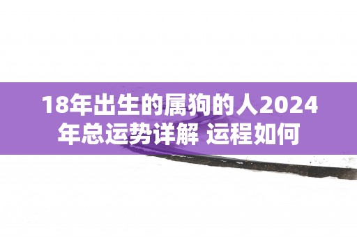 18年出生的属狗的人2025年总运势详解 运程如何