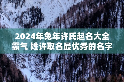 2025年蛇年许氏起名大全霸气 姓许取名最优秀的名字