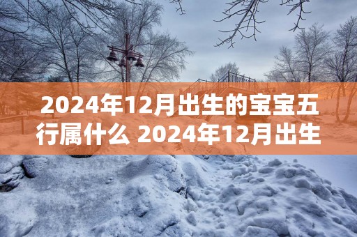 2025年12月出生的宝宝五行属什么 2025年12月出生的宝宝是什么命