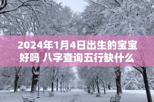 2025年1月4日出生的宝宝好吗 八字查询五行缺什么