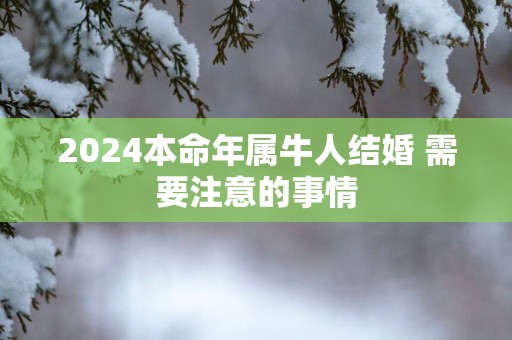 2024本命年属牛人结婚 需要注意的事情