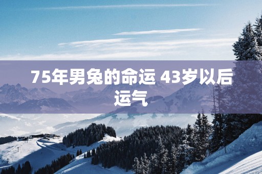 75年男兔的命运 43岁以后运气