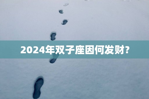 2025年双子座因何发财？