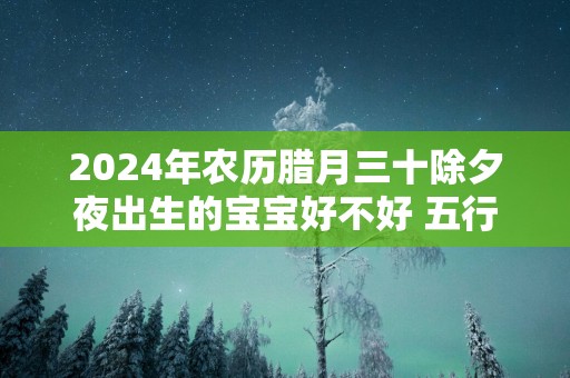 2025年农历腊月三十除夕夜出生的宝宝好不好 五行缺什么