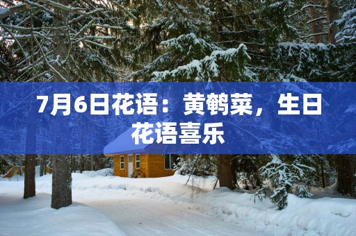 7月6日花语：黄鹌菜，生日花语喜乐