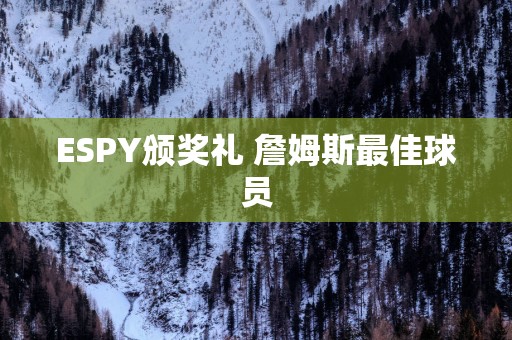 ESPY颁奖礼 詹姆斯最佳球员