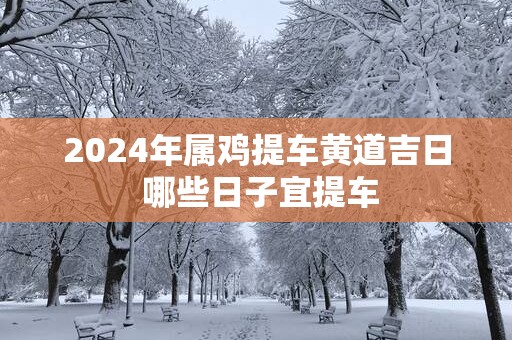 2025年属鸡提车黄道吉日 哪些日子宜提车