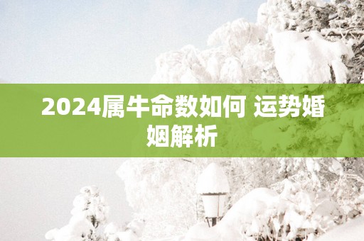 2025属牛命数如何 运势婚姻解析