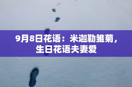 9月8日花语：米迦勒雏菊，生日花语夫妻爱
