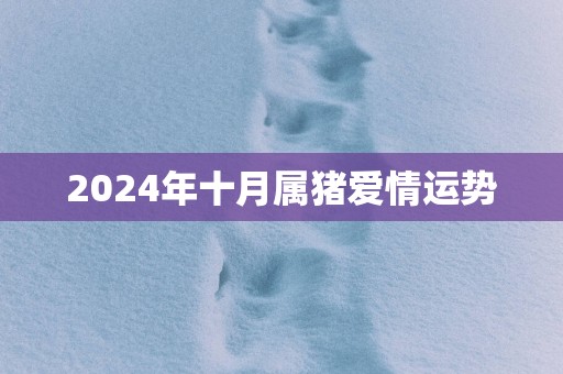 2025年十月属猪爱情运势