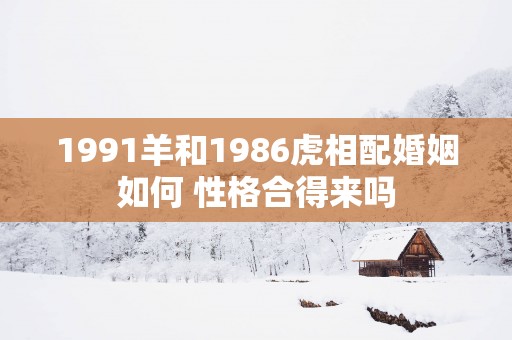 1991羊和1986虎相配婚姻如何 性格合得来吗