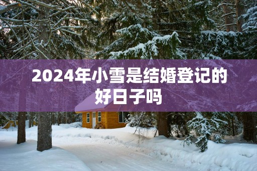 2025年小雪是结婚登记的好日子吗
