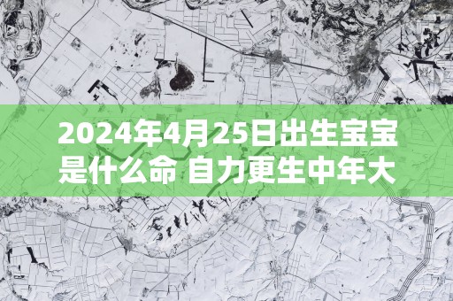 2025年4月25日出生宝宝是什么命 自力更生中年大发