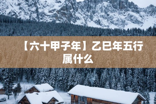 【六十甲子年】乙巳年五行属什么