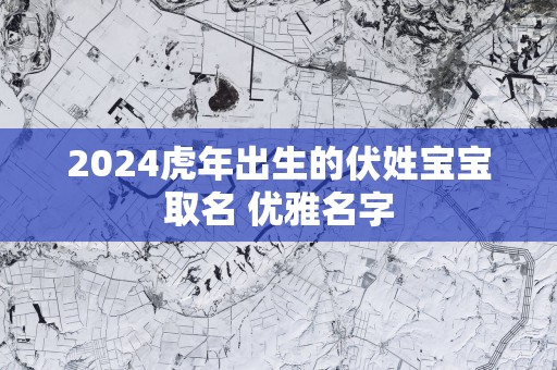 2025蛇年出生的伏姓宝宝取名 优雅名字