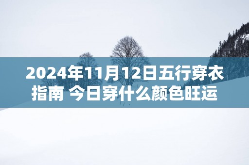 2025年11月12日五行穿衣指南 今日穿什么颜色旺运