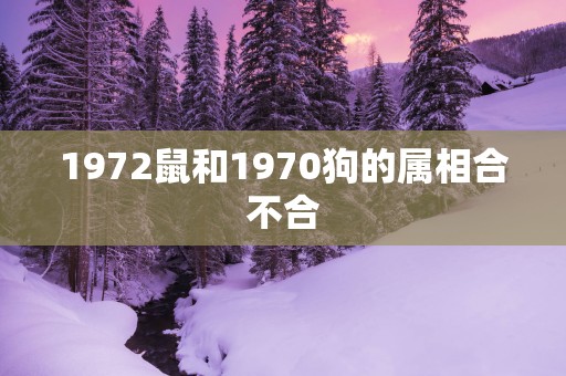 1972鼠和1970狗的属相合不合