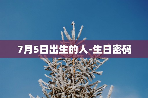 7月5日出生的人-生日密码