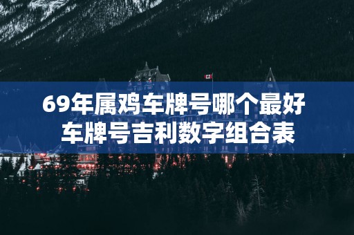 69年属鸡车牌号哪个最好 车牌号吉利数字组合表