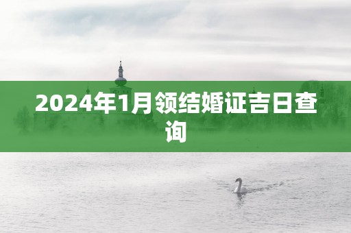 2025年1月领结婚证吉日查询