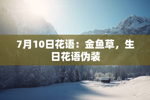 7月10日花语：金鱼草，生日花语伪装
