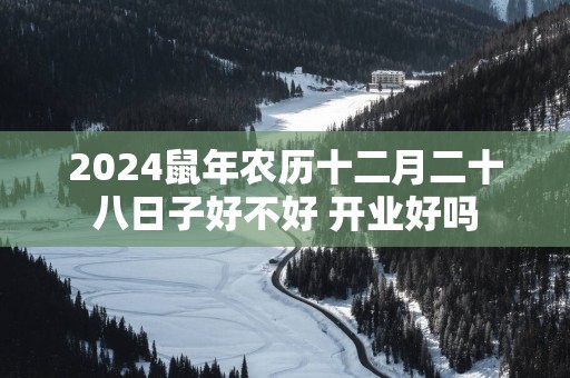 2025蛇年农历十二月二十八日子好不好 开业好吗