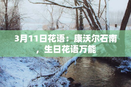 3月11日花语：康沃尔石南，生日花语万能