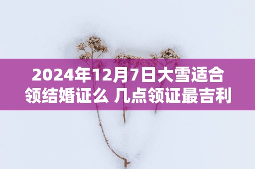 2025年12月7日大雪适合领结婚证么 几点领证最吉利