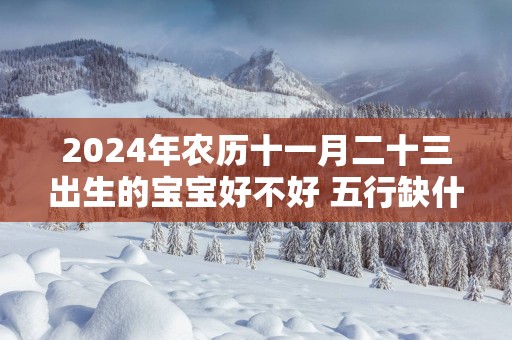 2025年农历十一月二十三出生的宝宝好不好 五行缺什么