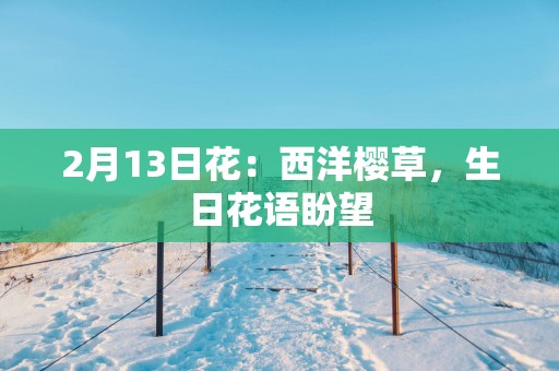 2月13日花：西洋樱草，生日花语盼望