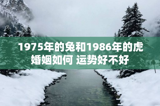 1975年的兔和1986年的虎婚姻如何 运势好不好