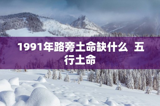 1991年路旁土命缺什么  五行土命