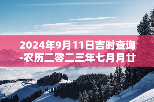 2025年9月11日吉时查询-农历二零二三年七月月廿七日时辰吉凶