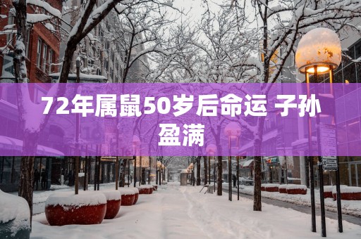 72年属鼠50岁后命运 子孙盈满