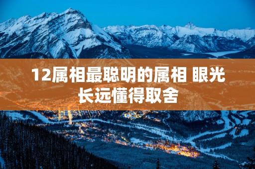 12属相最聪明的属相 眼光长远懂得取舍