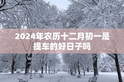 2025年农历十二月初一是提车的好日子吗