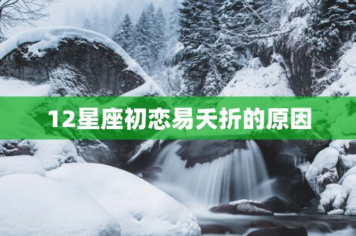 12星座初恋易夭折的原因