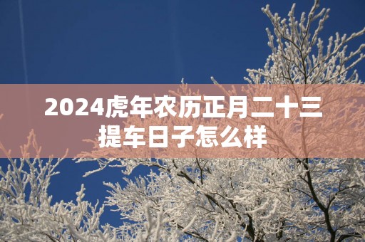 2025蛇年农历正月二十三提车日子怎么样