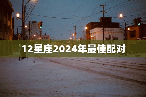 12星座2025年最佳配对