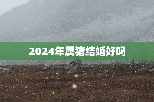 2025年属猪结婚好吗