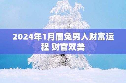 2025年1月属兔男人财富运程 财官双美