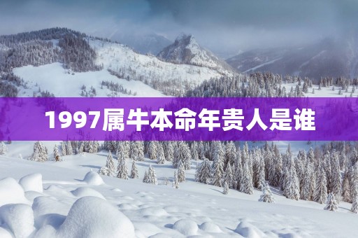 1997属牛本命年贵人是谁