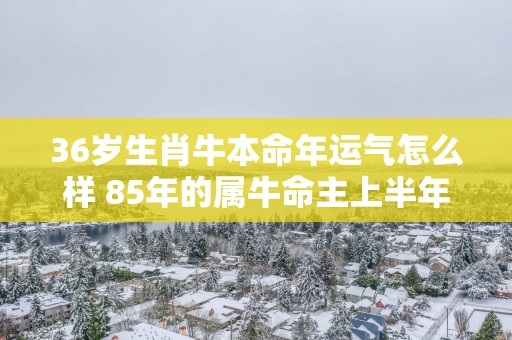 36岁生肖牛本命年运气怎么样 85年的属牛命主上半年运势好不好